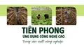 Tiên phong ứng dụng công nghệ cao trong sản xuất nông nghiệp