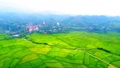 Vẻ đẹp của những "vựa lúa" nhìn từ trên cao