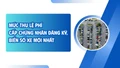 Mức thu lệ phí cấp chứng nhận đăng ký, biển số xe mới nhất