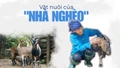 Vật nuôi của nhà nghèo