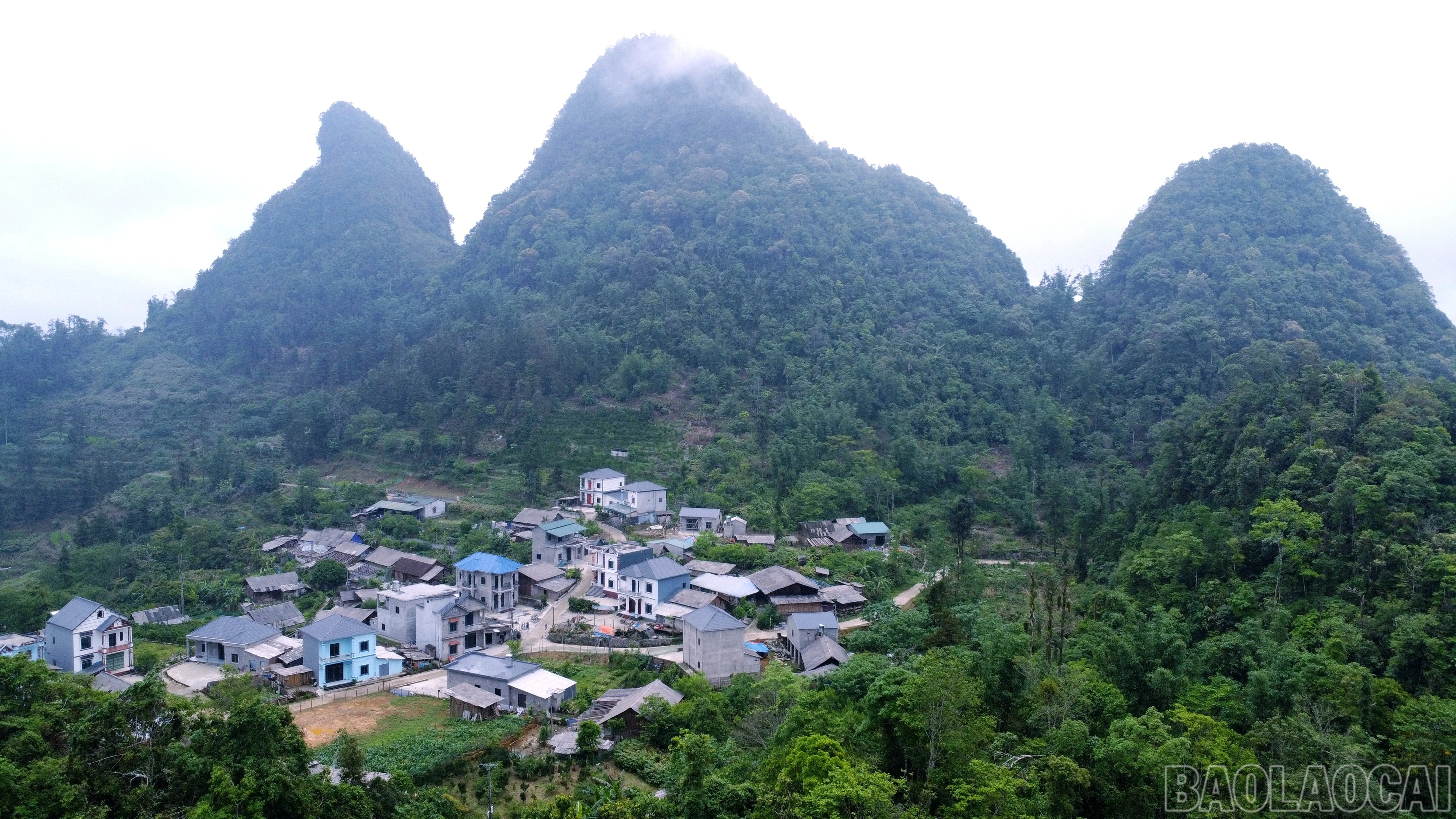 baolaocai-br_img-20260318-152752.jpg