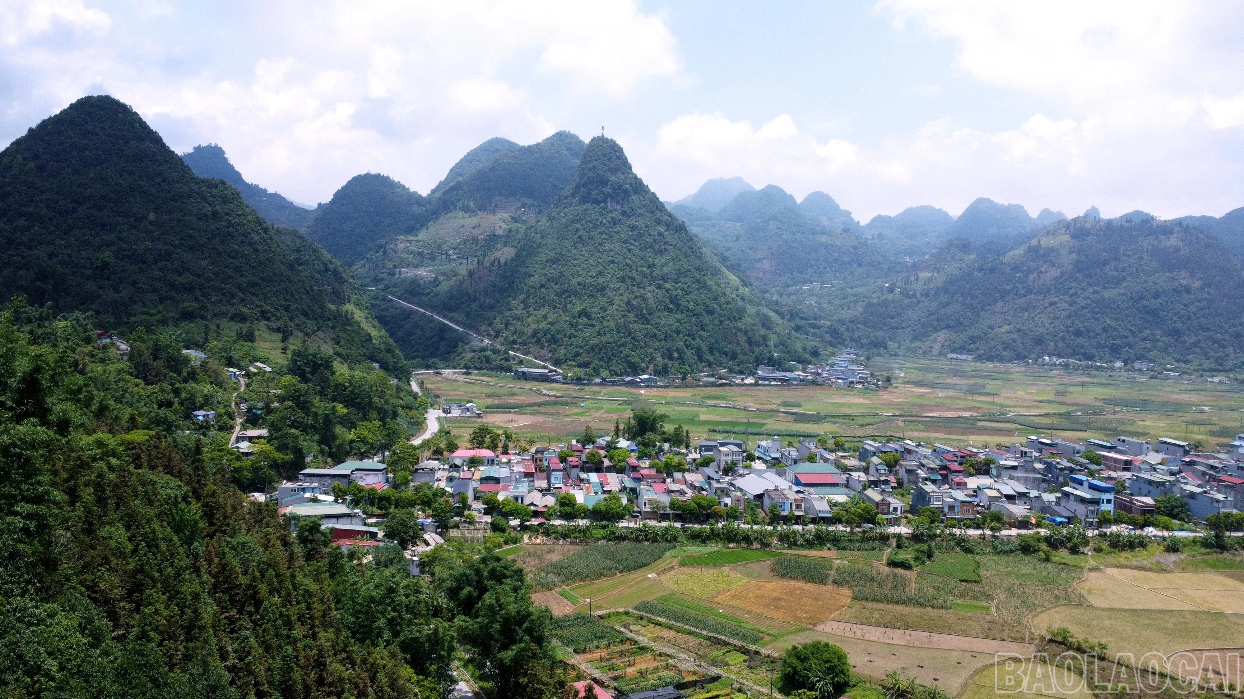 baolaocai-br_img-20260318-152721.jpg