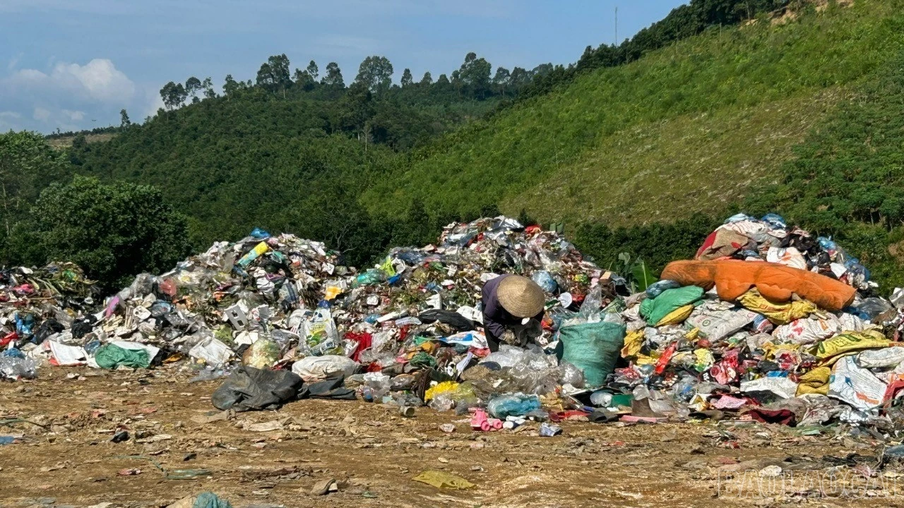 baolaocai-br_f1267449e9a764f93db6.jpg