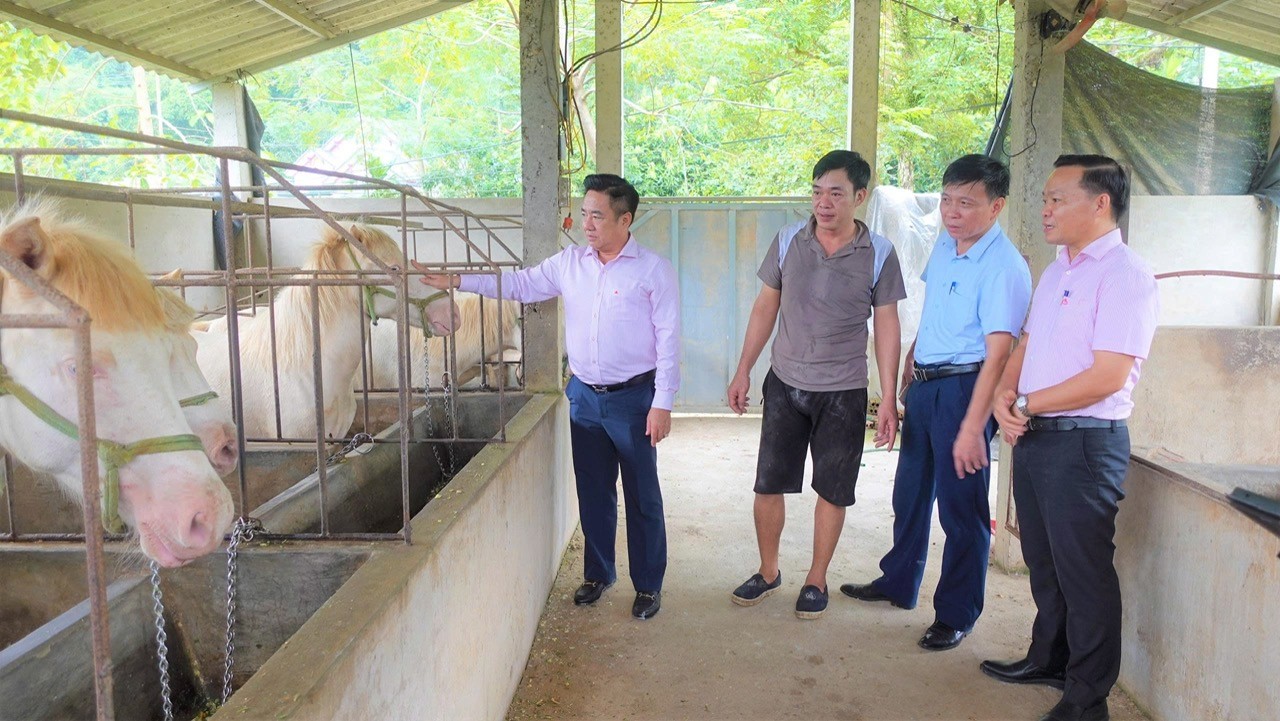 Phó Tổng giám đốc Huỳnh Văn Thuận thăm mô hình vay vốn chính sách tại Phòng giao dịch Lục Yên. 993f55cc2a78a026f969.jpg