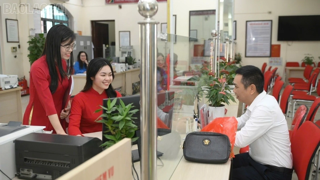 baolaocai-tl_d34bddd73b33ba6de322-3400-3174.jpg