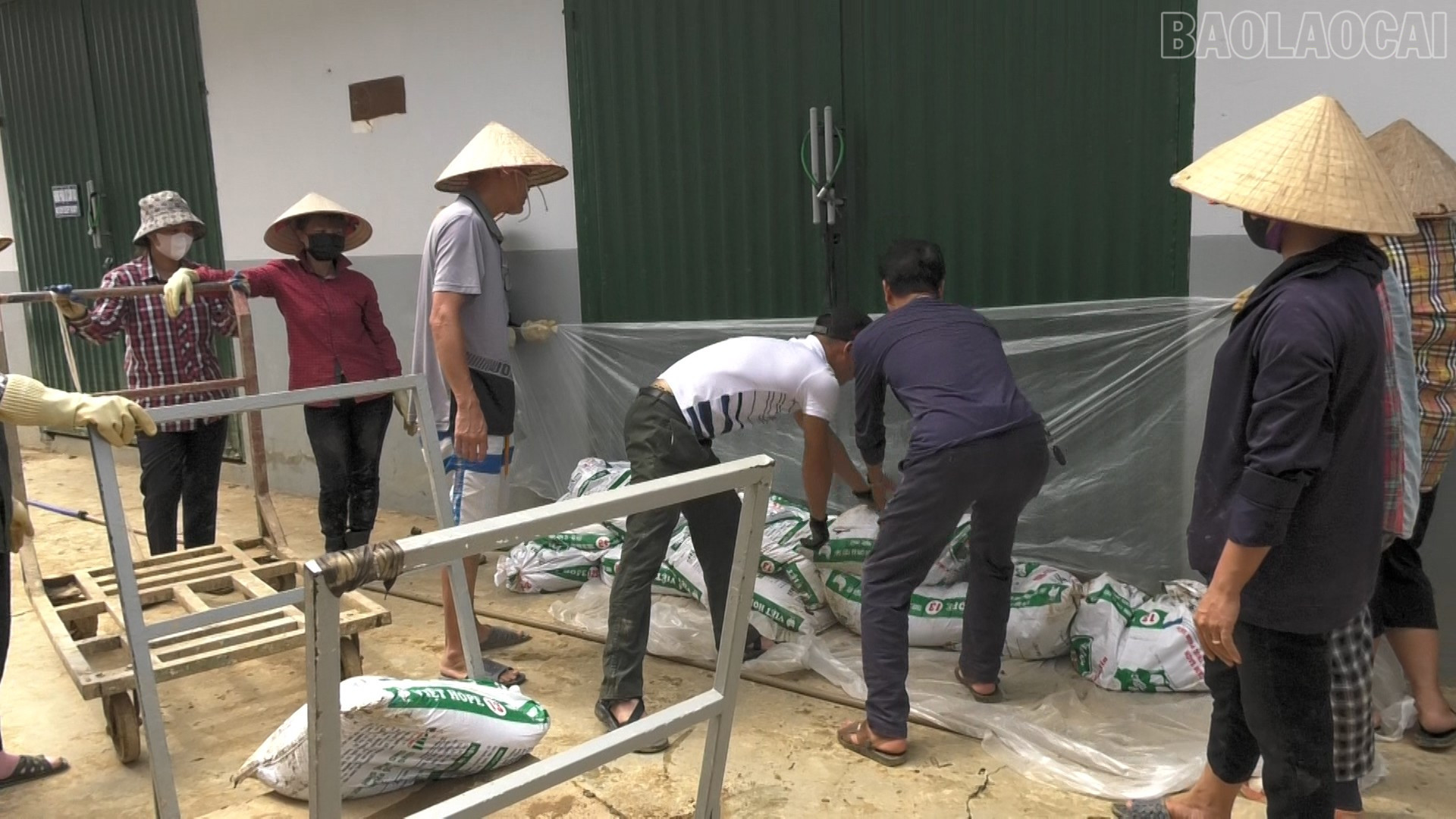 Nhiều đơn vị, doanh nghiệp đã che chắn nhà cửa kho tàng, xưởng sản xuất ngay từ sáng ngày 5/10 baolaocai-tr_sequence-0100-16-27-00still004.jpg