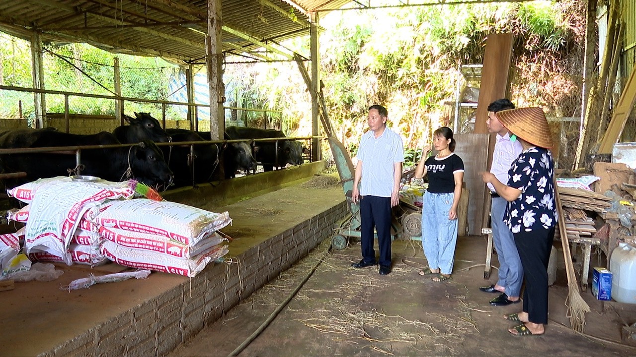 Nhờ nguồn vốn từ Ngân hàng CSXH, hàng vạn hộ dân có vốn để phát triển kinh tế, cải thiện cuộc sống và thoát nghèo bền vững. cc3c3badd5a758f901b6.jpg