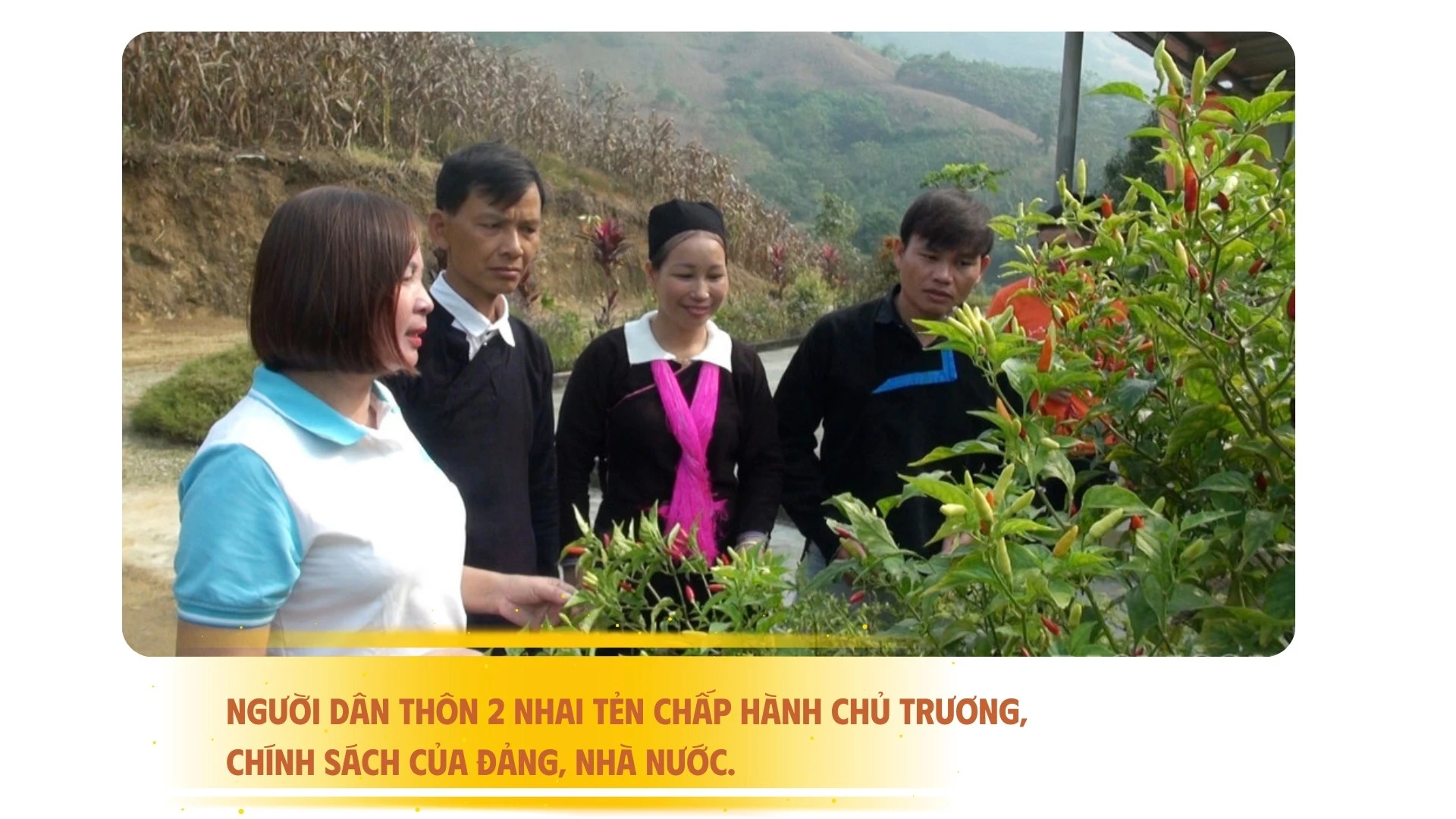 trien-vong-20250626-231409-0000.jpg