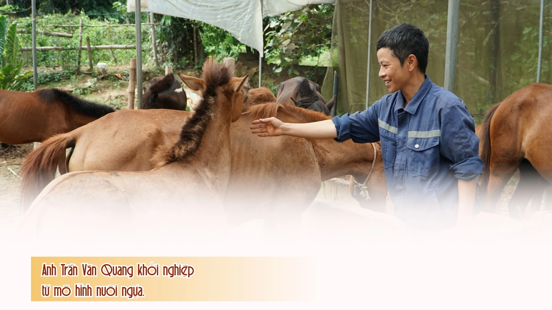 cung-nong-dan-20250619-113352-0001.jpg