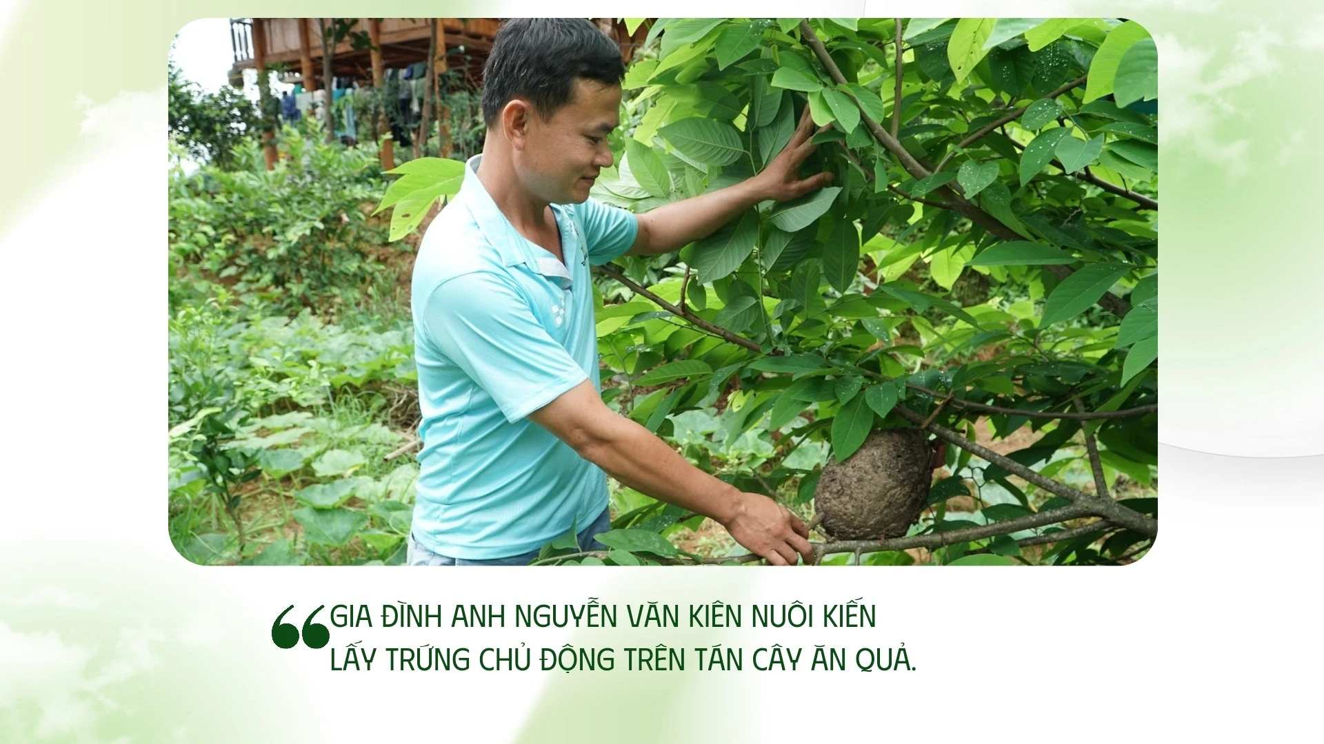 trien-vong-20250627-152001-0000.jpg