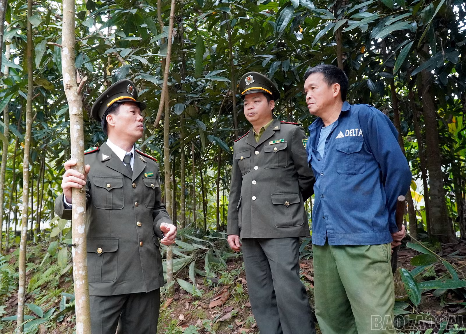 baolaocai-br_huongdan.jpg