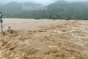 Lũ lớn tại huyện Văn Bàn và thị xã Sa Pa gây nhiều thiệt hại về nhà ở
