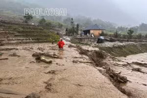 Sa Pa: Sạt lở đất ở xã Mường Hoa 5 người chết, 1 người mất tích