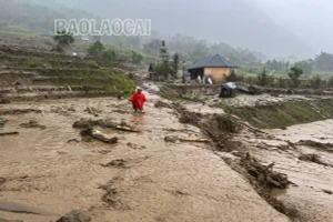 Sa Pa: Sạt lở đất ở xã Mường Hoa 5 người chết, 1 người mất tích