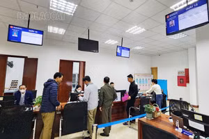 Vì sao Sở Giao thông vận tải tạm dừng tiếp nhận hồ sơ cấp đổi, cấp Giấy phép lái xe cơ giới? 