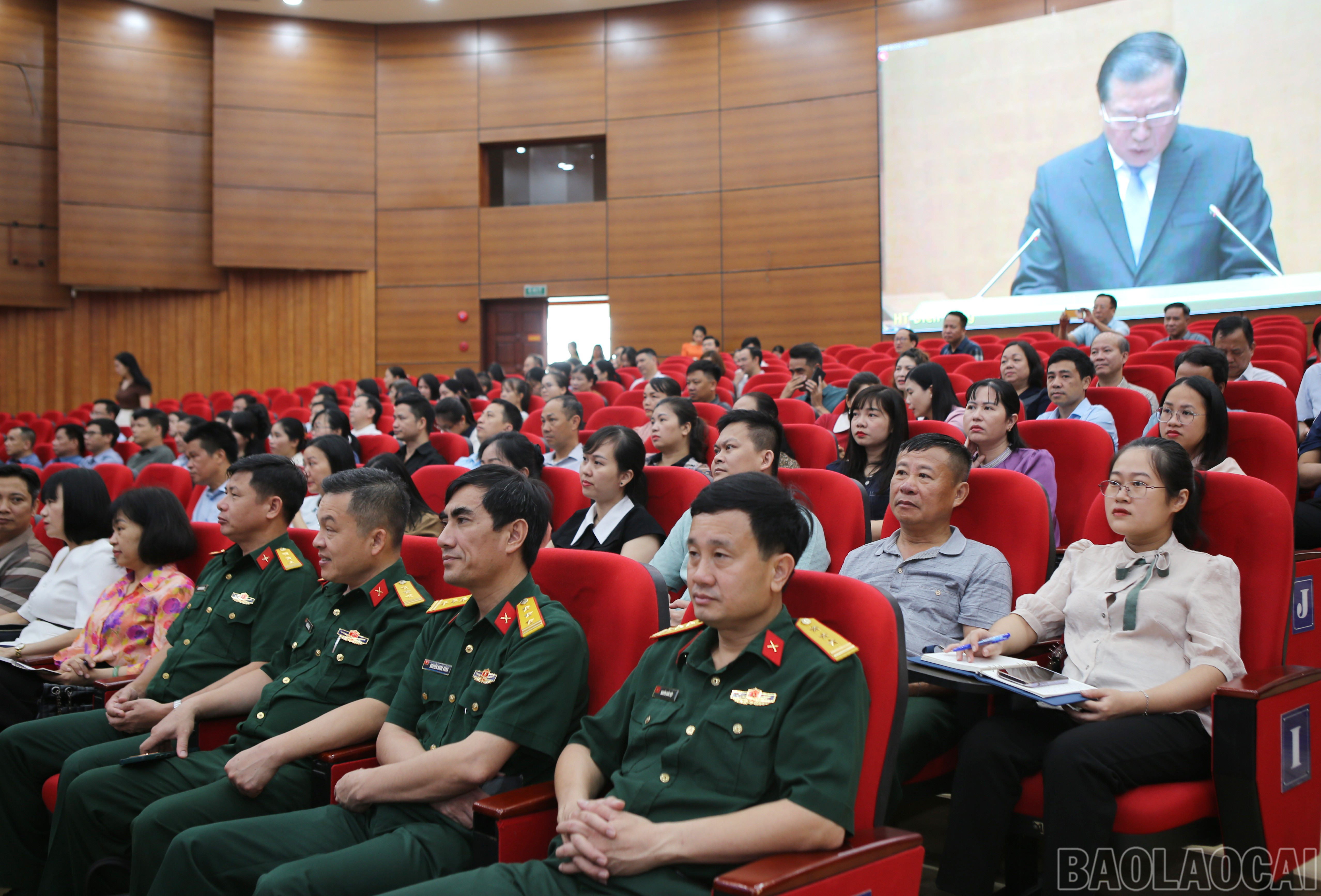 baolaocai-br_5.jpg