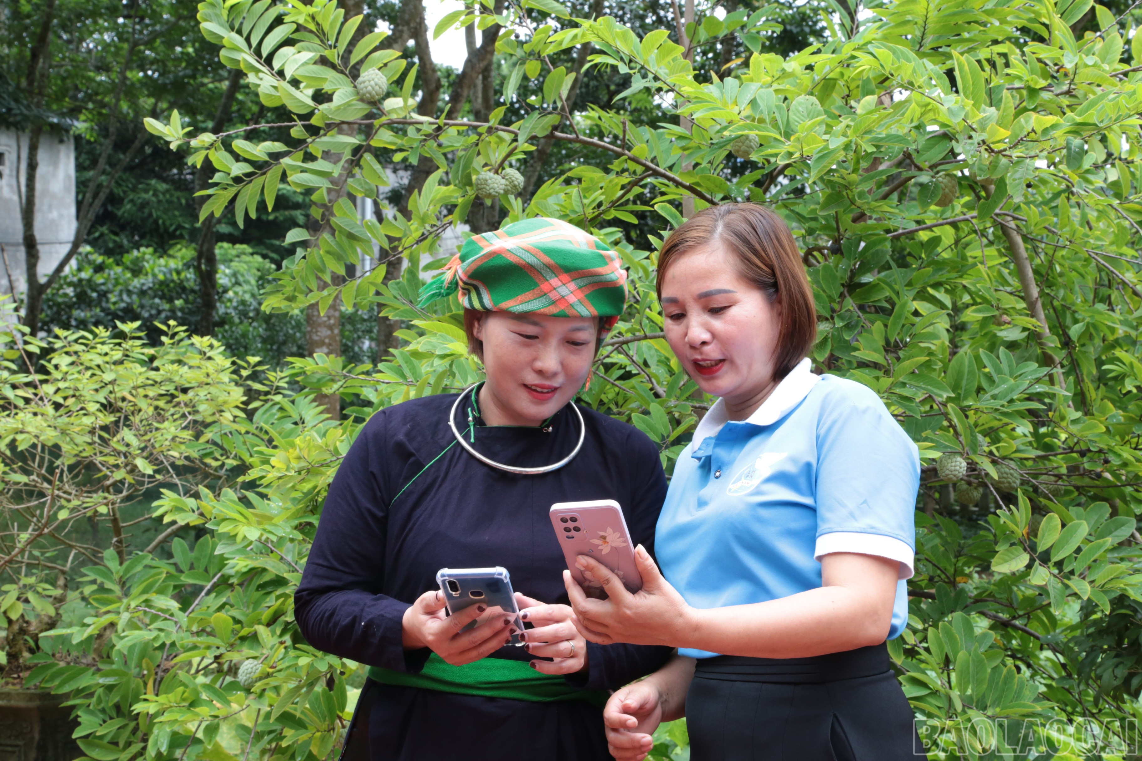 Các cấp hội phụ nữ lựa chọn hình thức lấy ý kiến phù hợp với tình hình thực tế của địa phương. baolaocai-br_img-0362.jpg