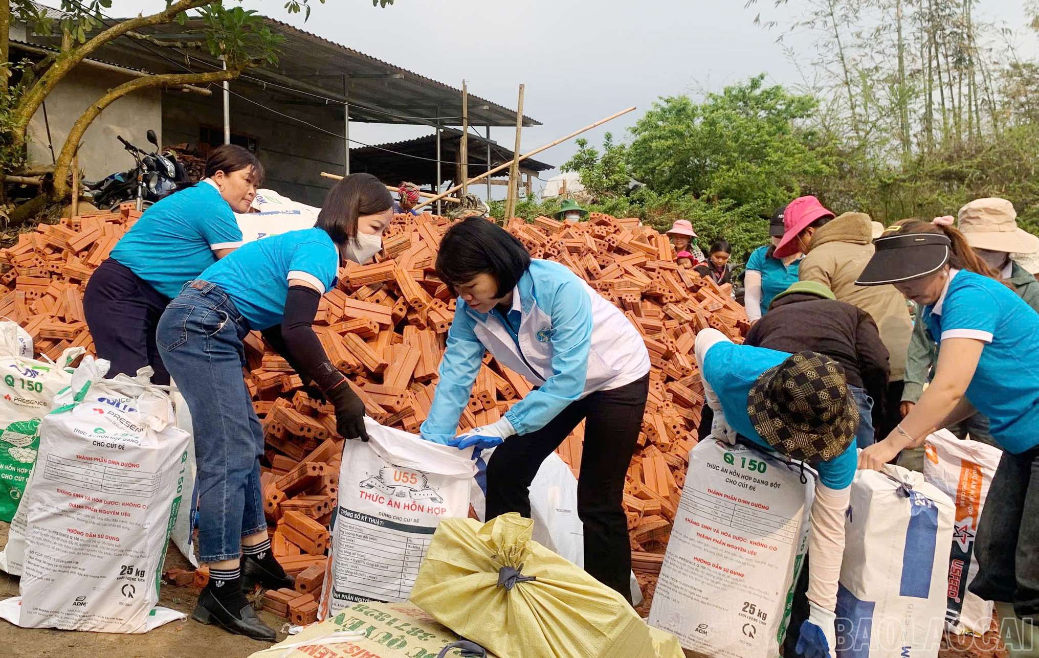 Giúp hội viên có hoàn cảnh khó khăn vận chuyển vật liệu để xóa nhà tạm. baolaocai-br_105815c86da1deff87b0.jpg