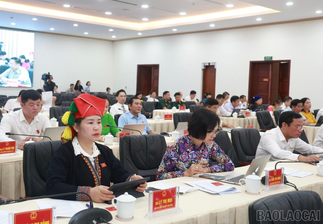 Đại biểu dự Kỳ họp thứ 31, HĐND tỉnh khóa XVI. baolaocai-br_590d7790a8891fd74698.jpg
