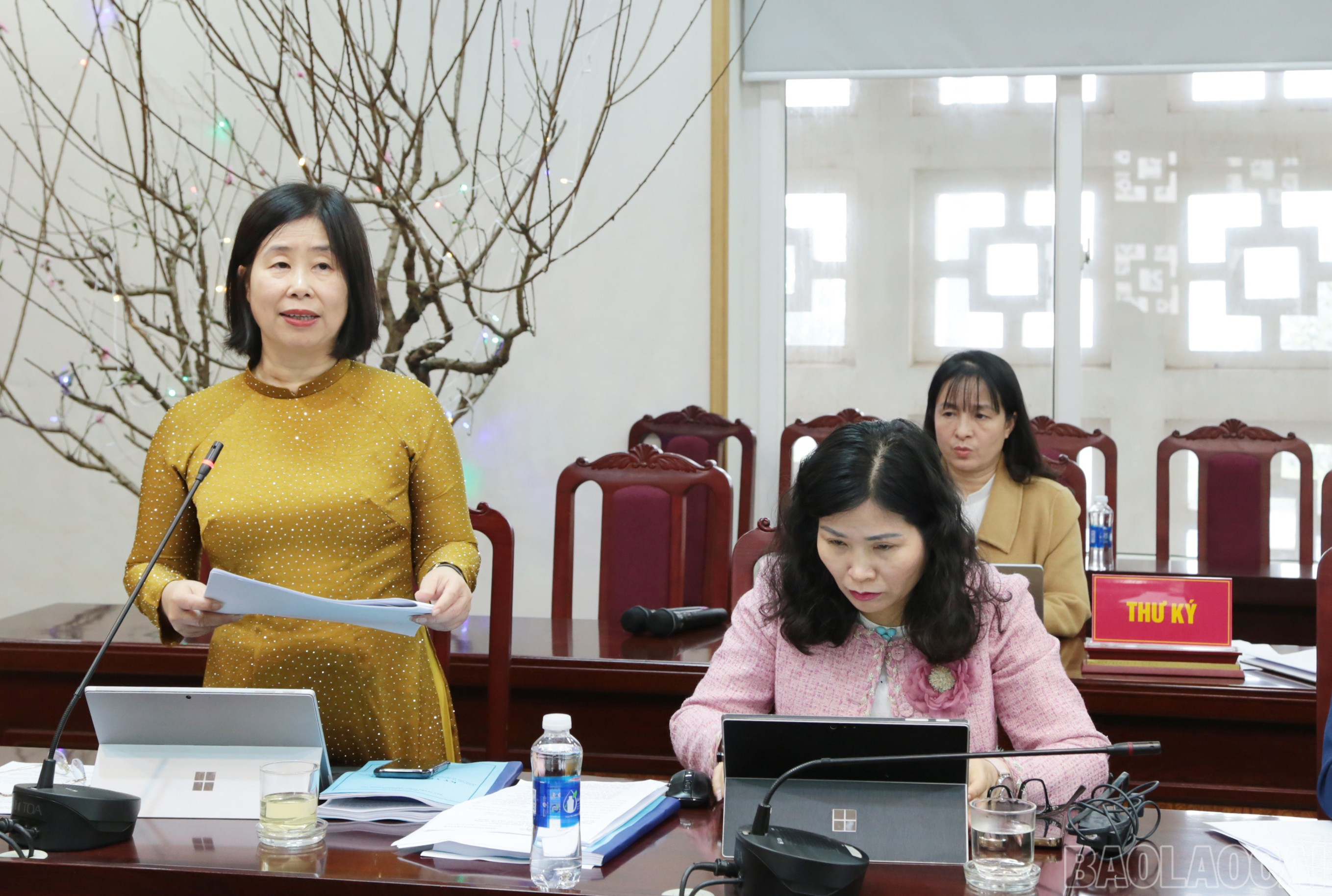baolaocai-br_img-6700.jpg