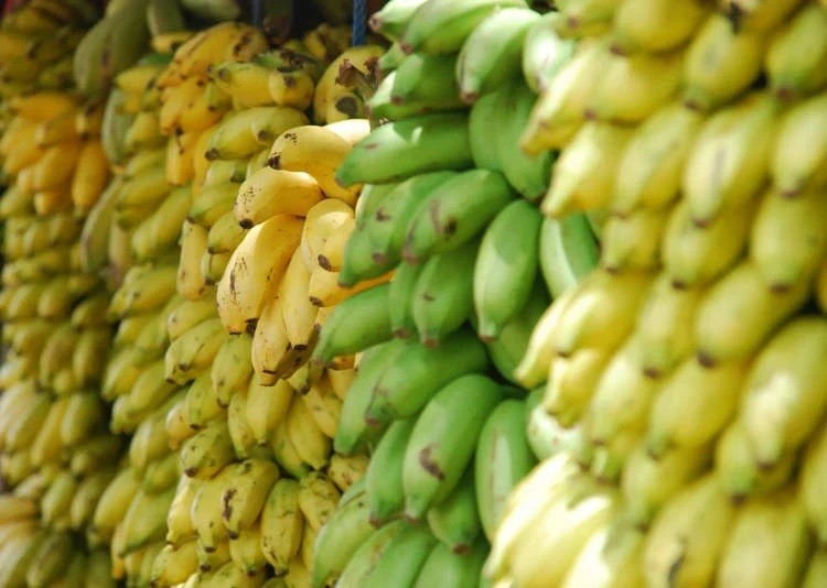 Ảnh minh hoạ. 0607-bananas.jpg