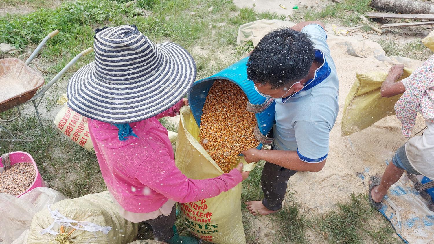 Đồng bào Hà Nhì trên vùng cao huyện Bát Xát dùng máy quạt ngô cho sạch trước khi đóng bao bán cho thương lái. 13.jpg