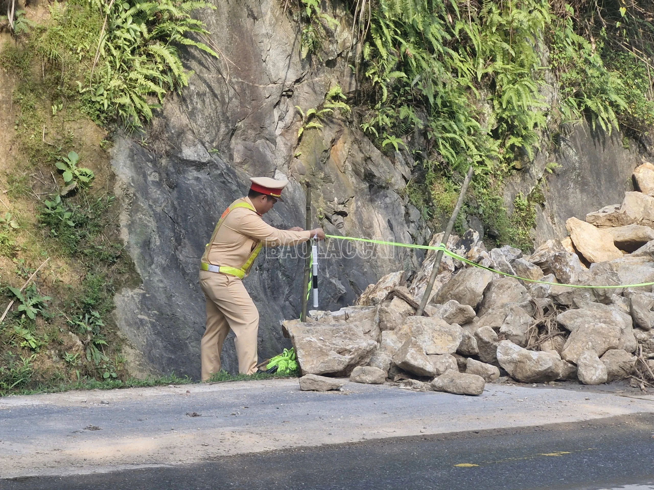 baolaocai-c_z7121272938144-5d7f08af87302843cdf0449b87620460.jpg