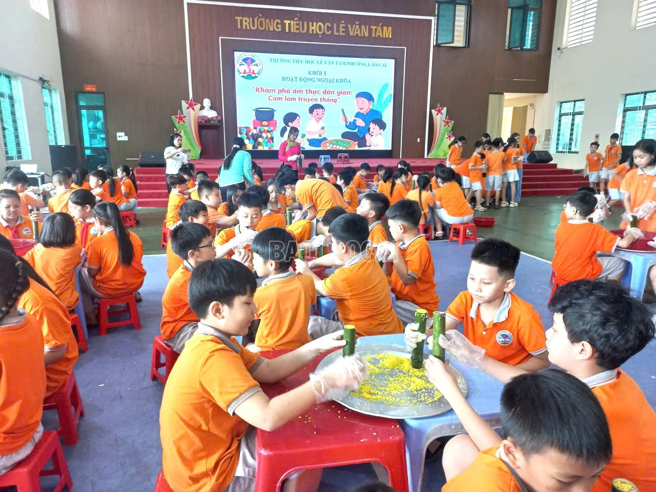 Quang cảnh hoạt động ngoại khóa. baolaocai-c_1-309.jpg