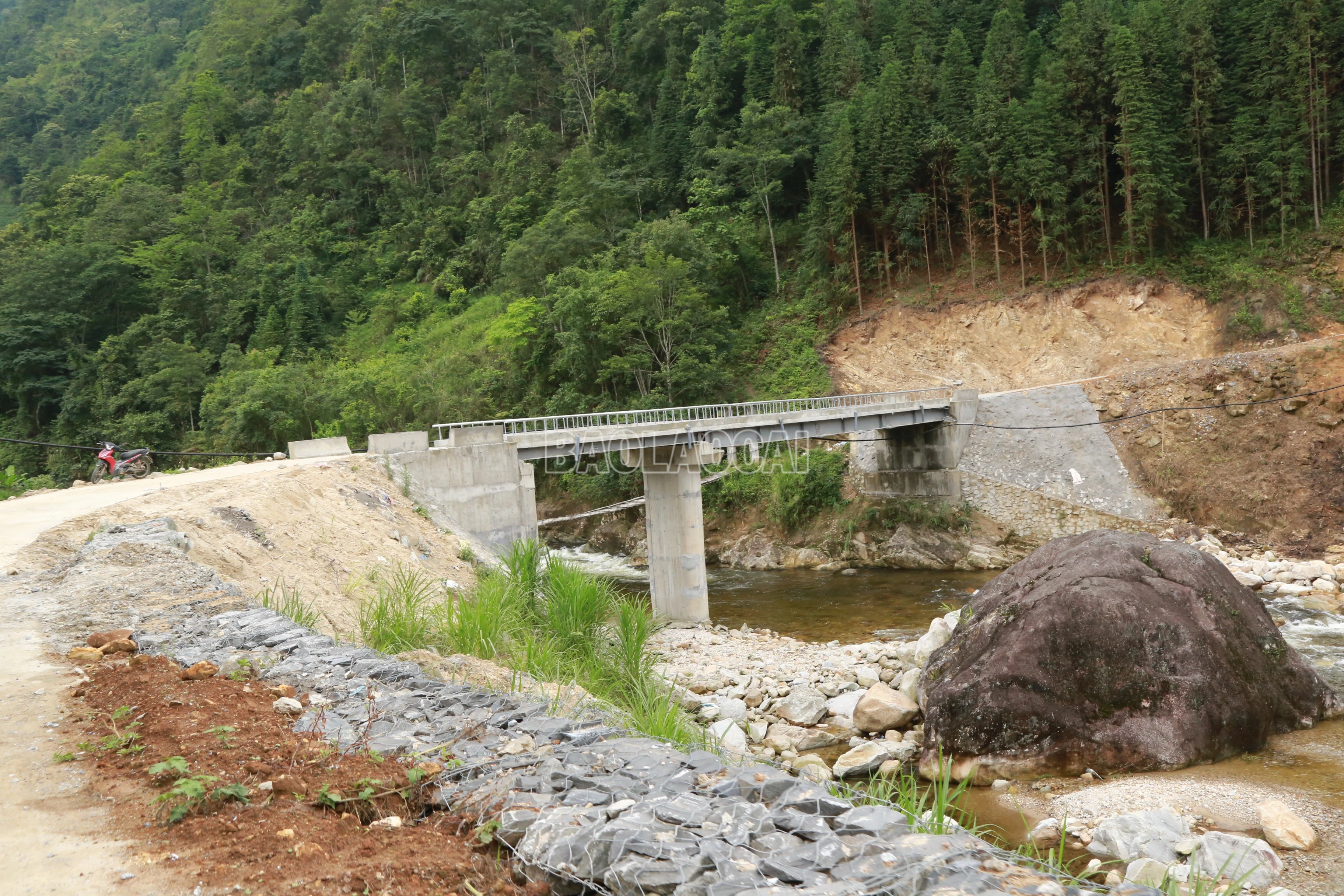 baolaocai-c_img-7245.jpg