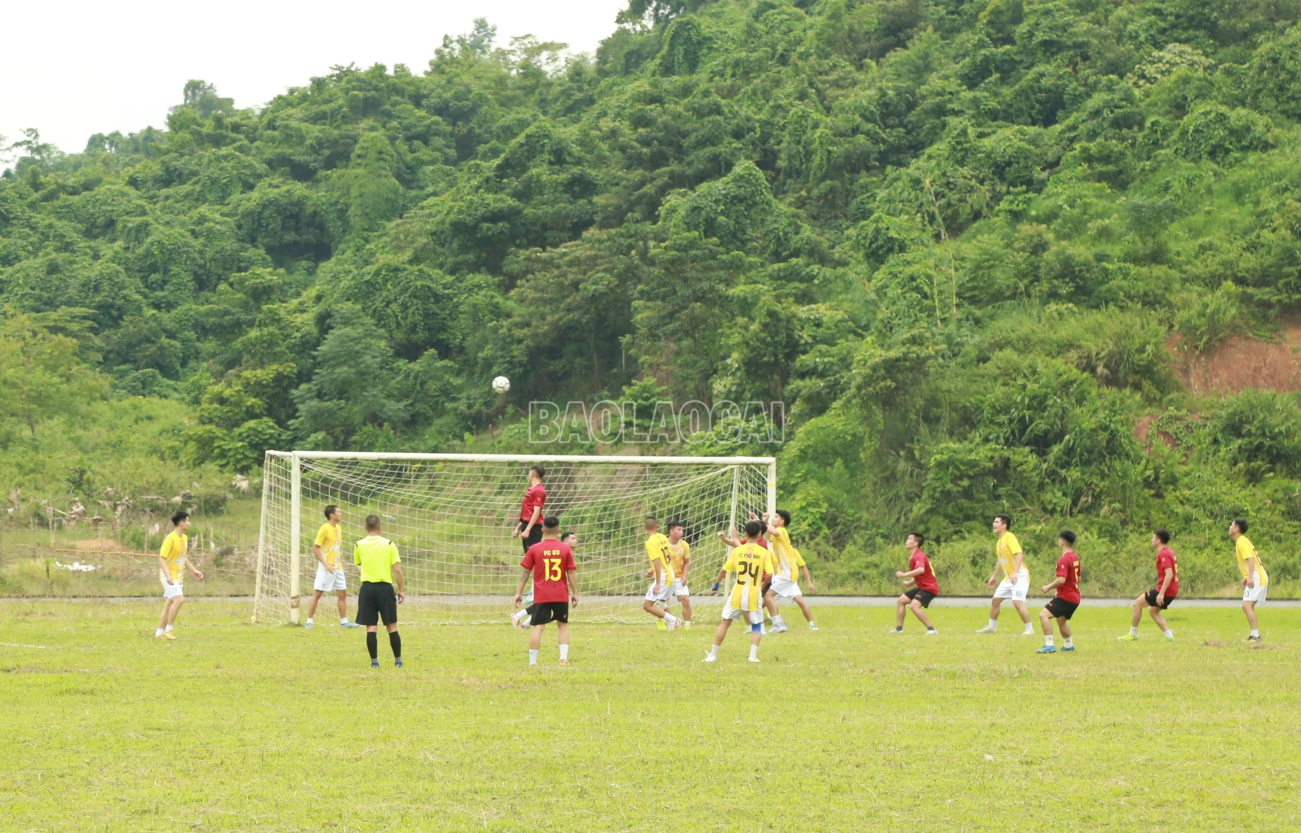 baolaocai-c_5-2181.jpg