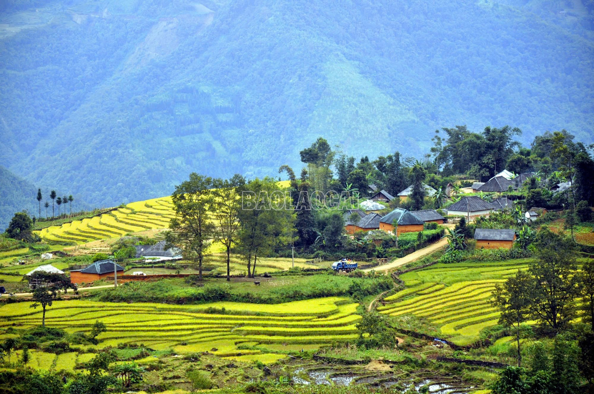 Vẻ đẹp mùa thu vùng cao Y Tý. baolaocai-c_1.jpg