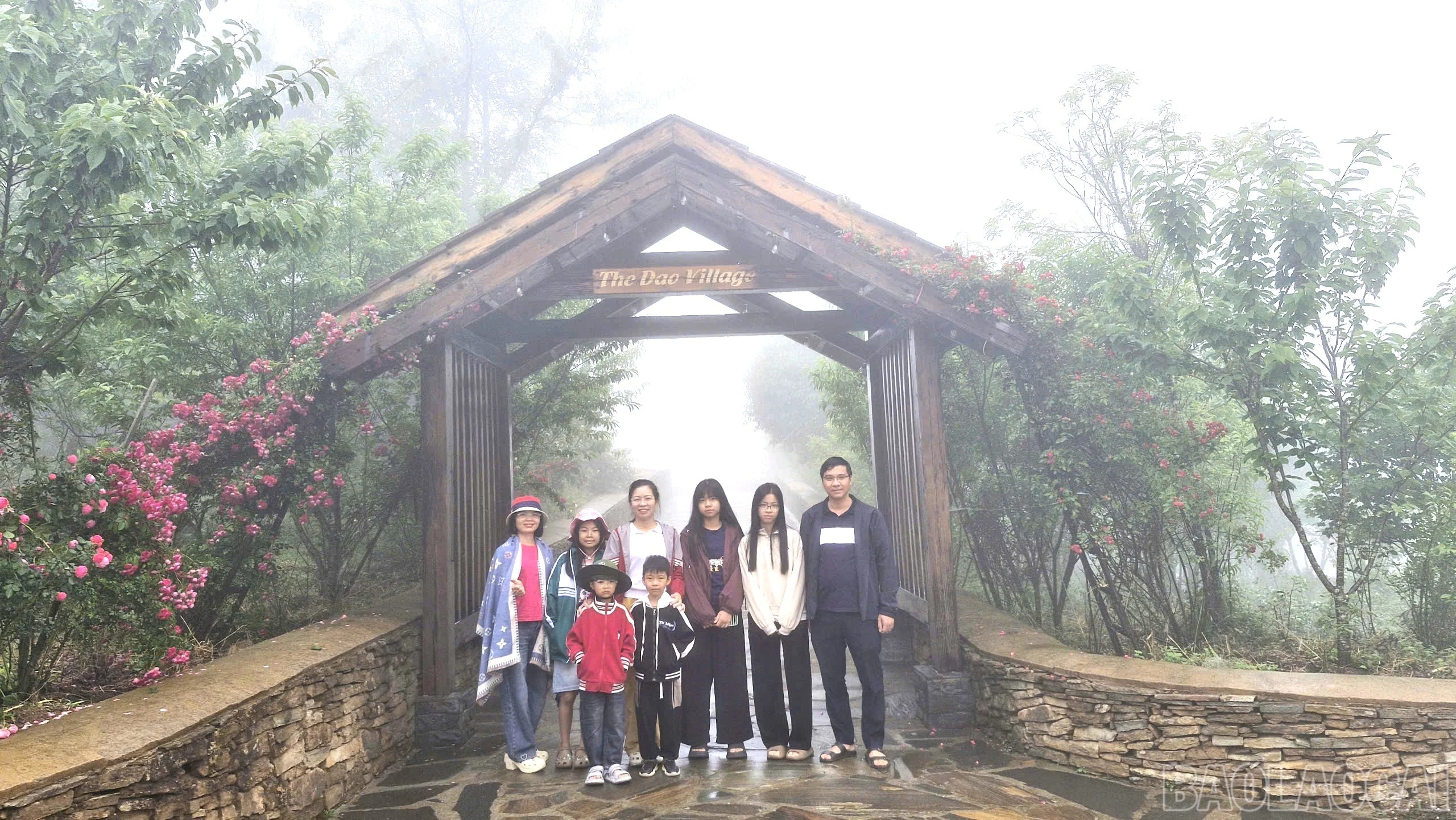 baolaocai-br_16.jpg