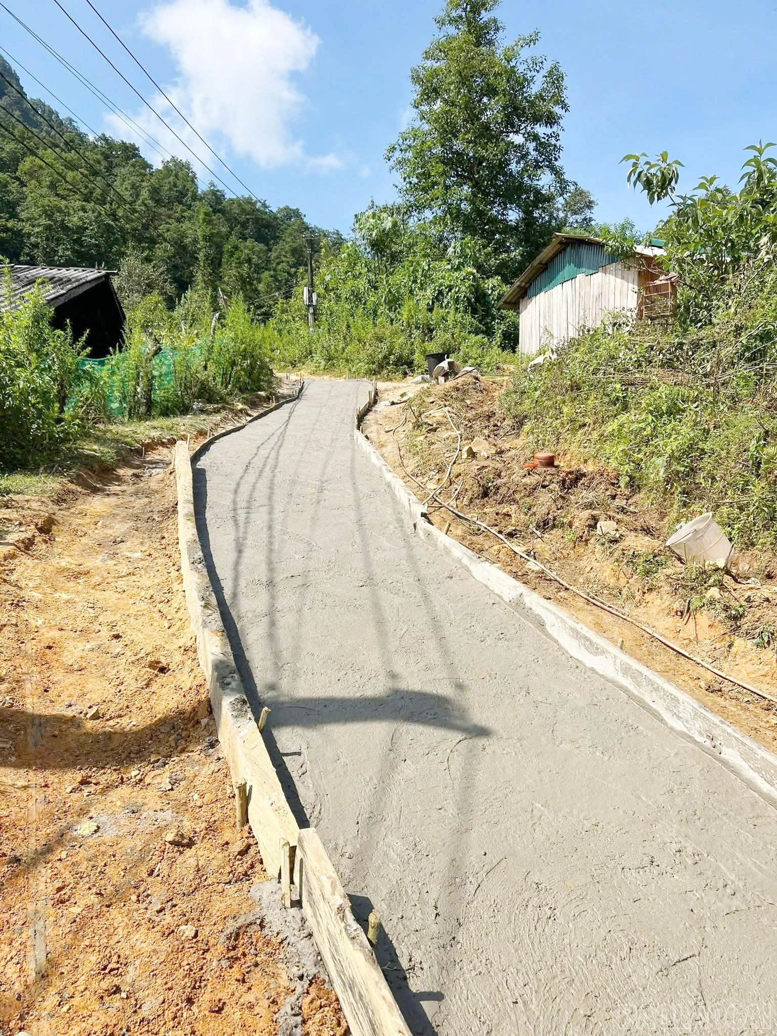 baolaocai-br_4.jpg