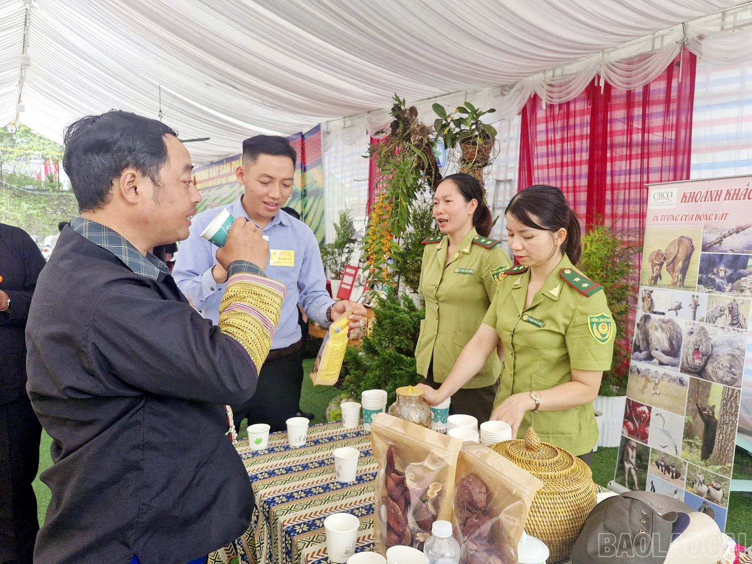 Vườn Quốc gia Hoàng Liên giới thiệu sản phẩm nấm linh chi GA2 tới người dân và du khách. baolaocai-br_12.jpg