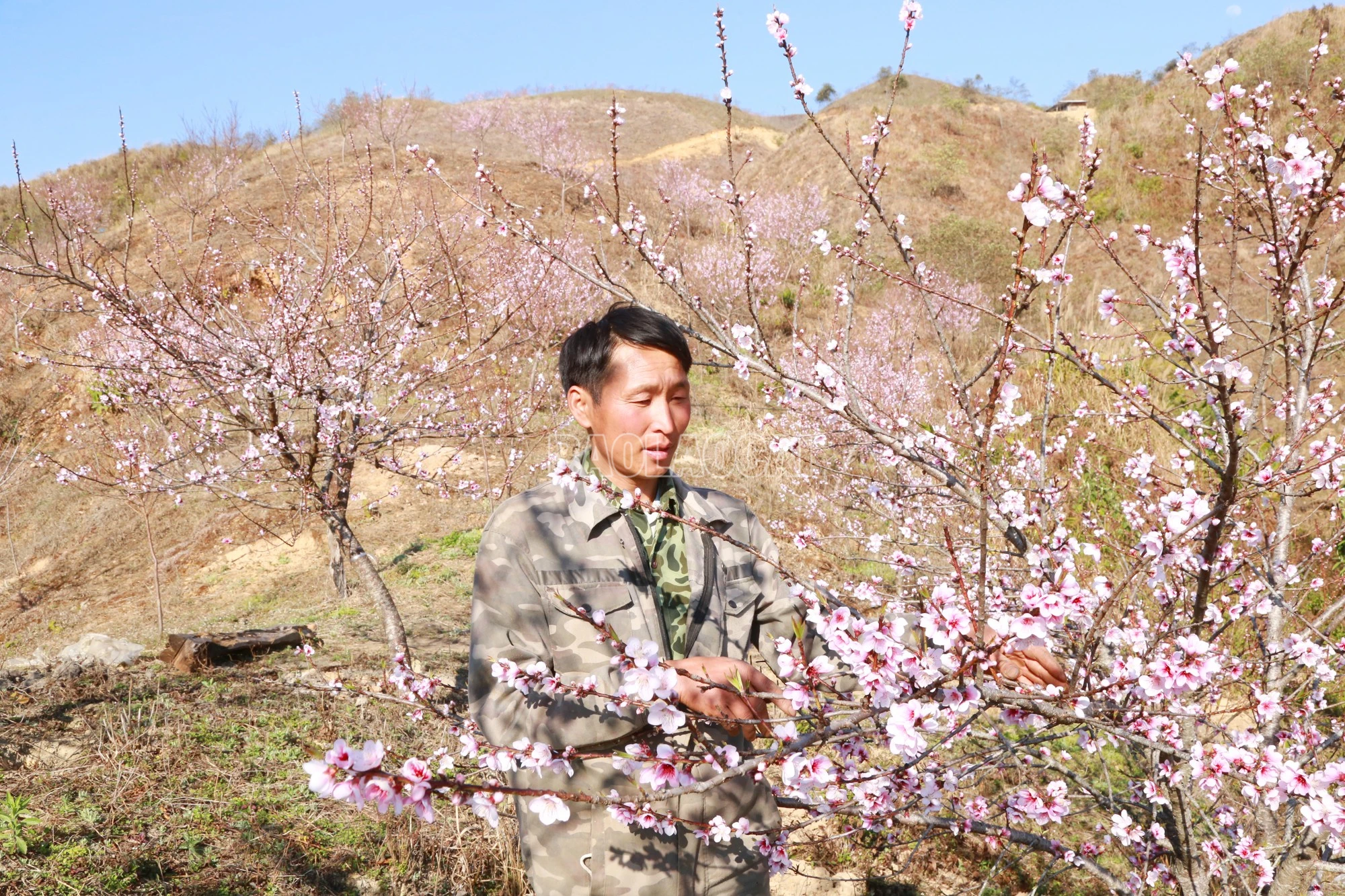 baolaocai-c_6-3097.jpg