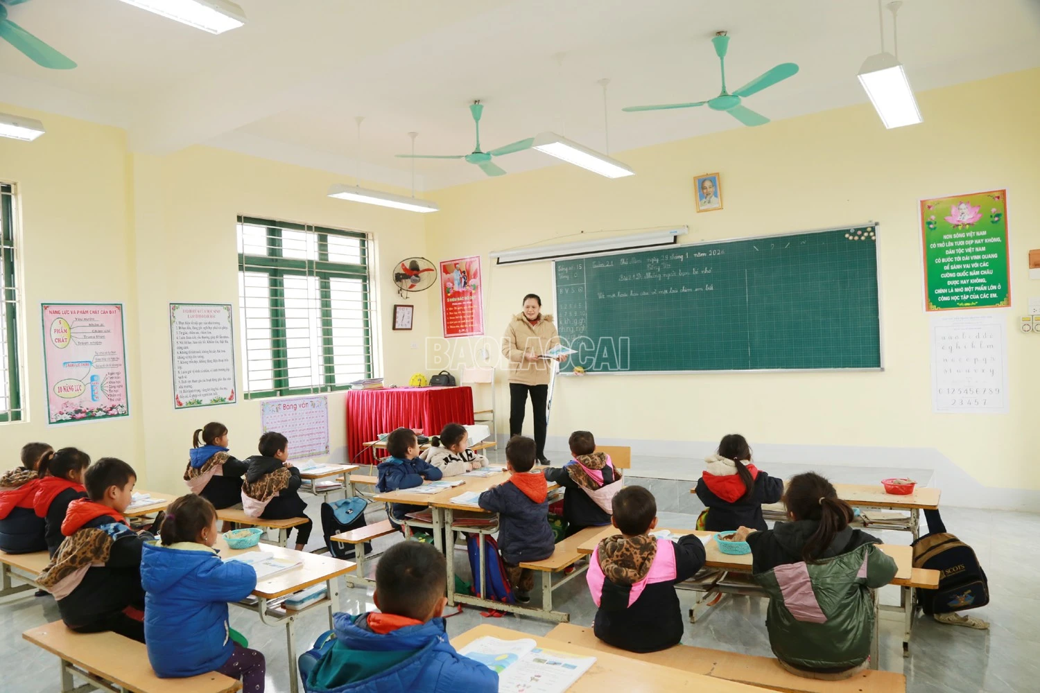 baolaocai-c_4-8968.jpg