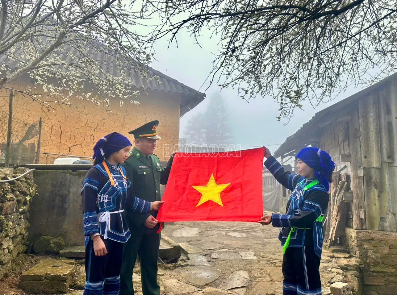 baolaocai-c_z7436099858161-13f4432af6cf0e74c88602788160a524.jpg