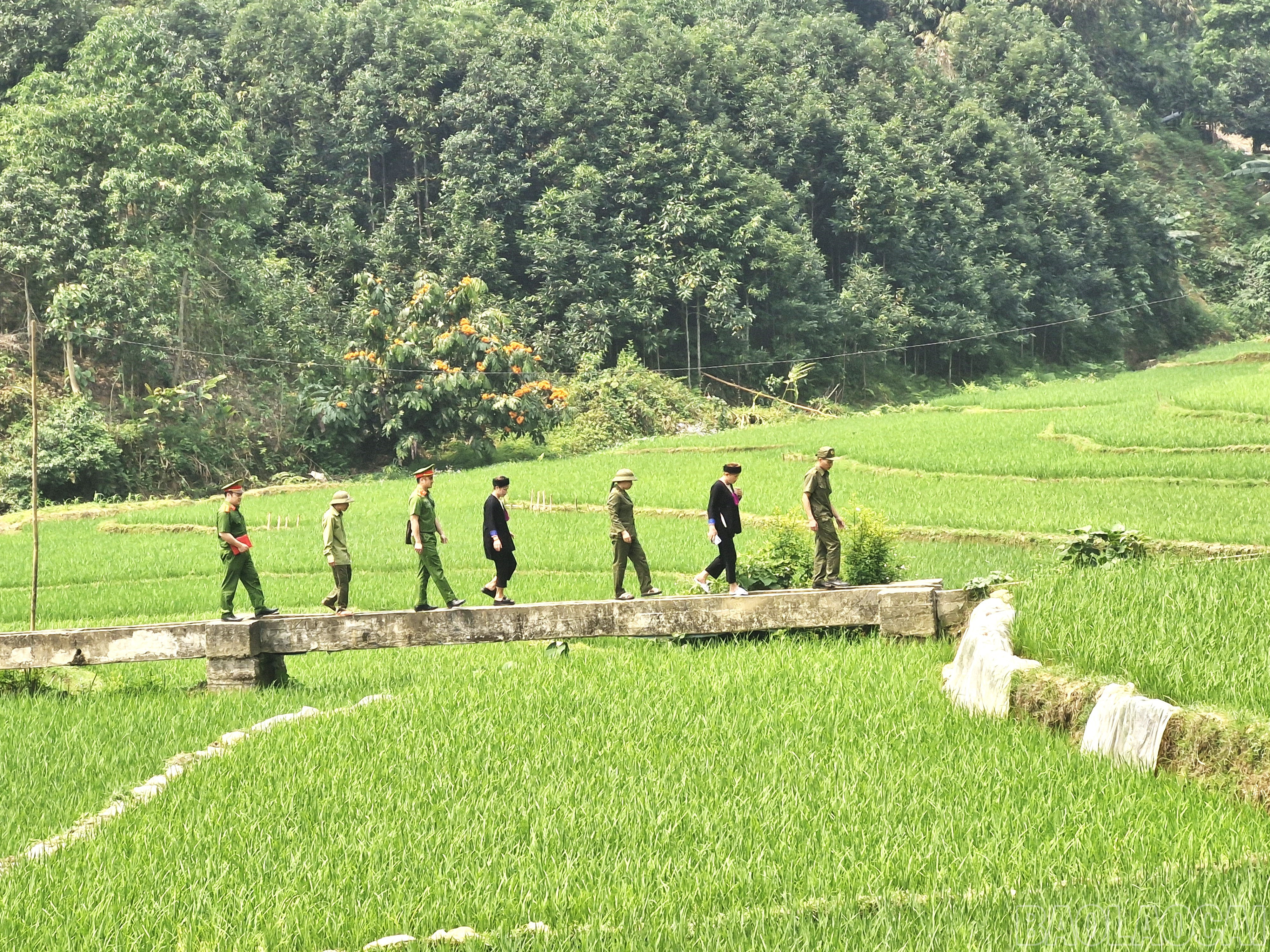 baolaocai-br_20250327-113037.jpg