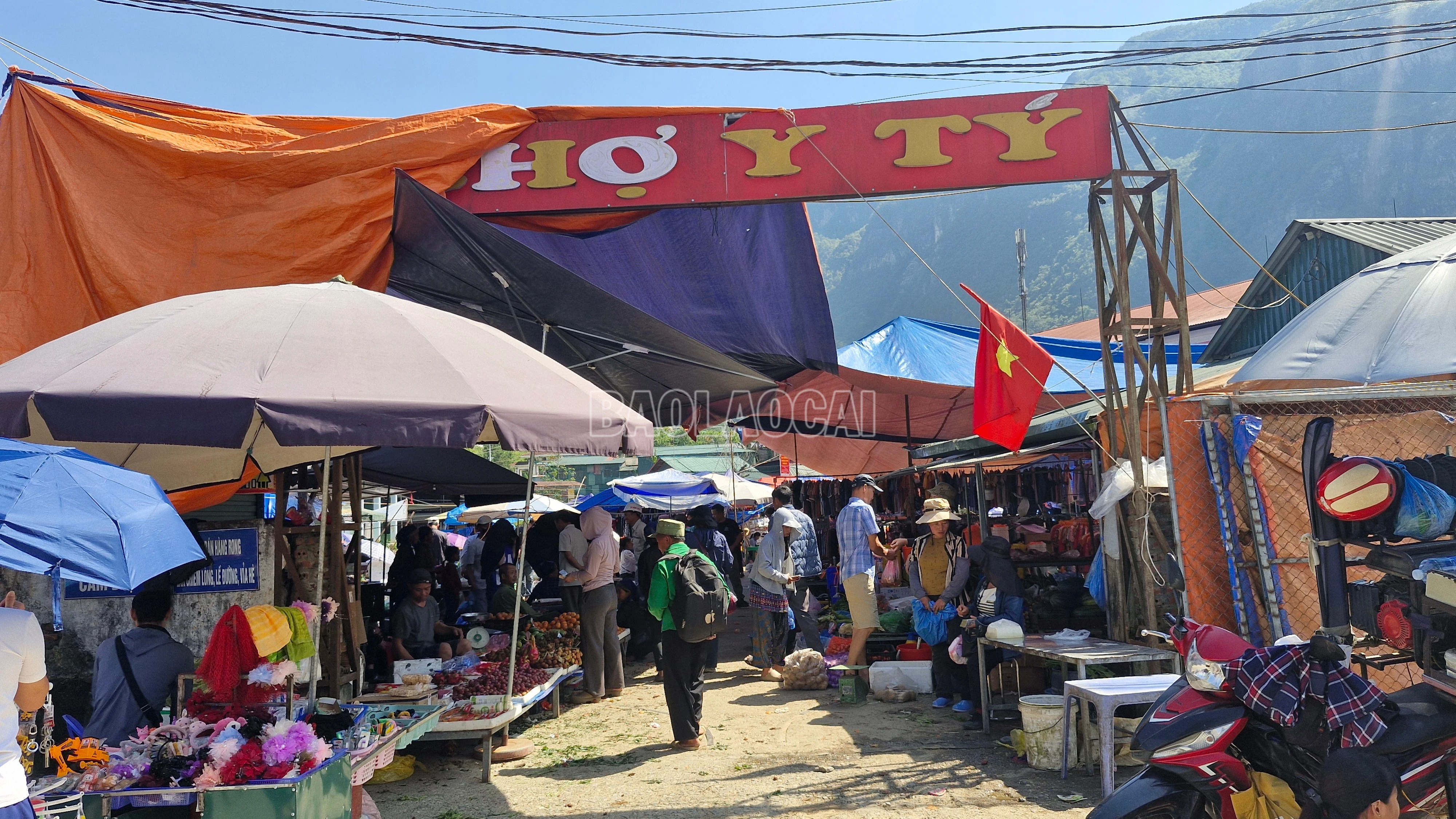 baolaocai-c_3-5140.jpg