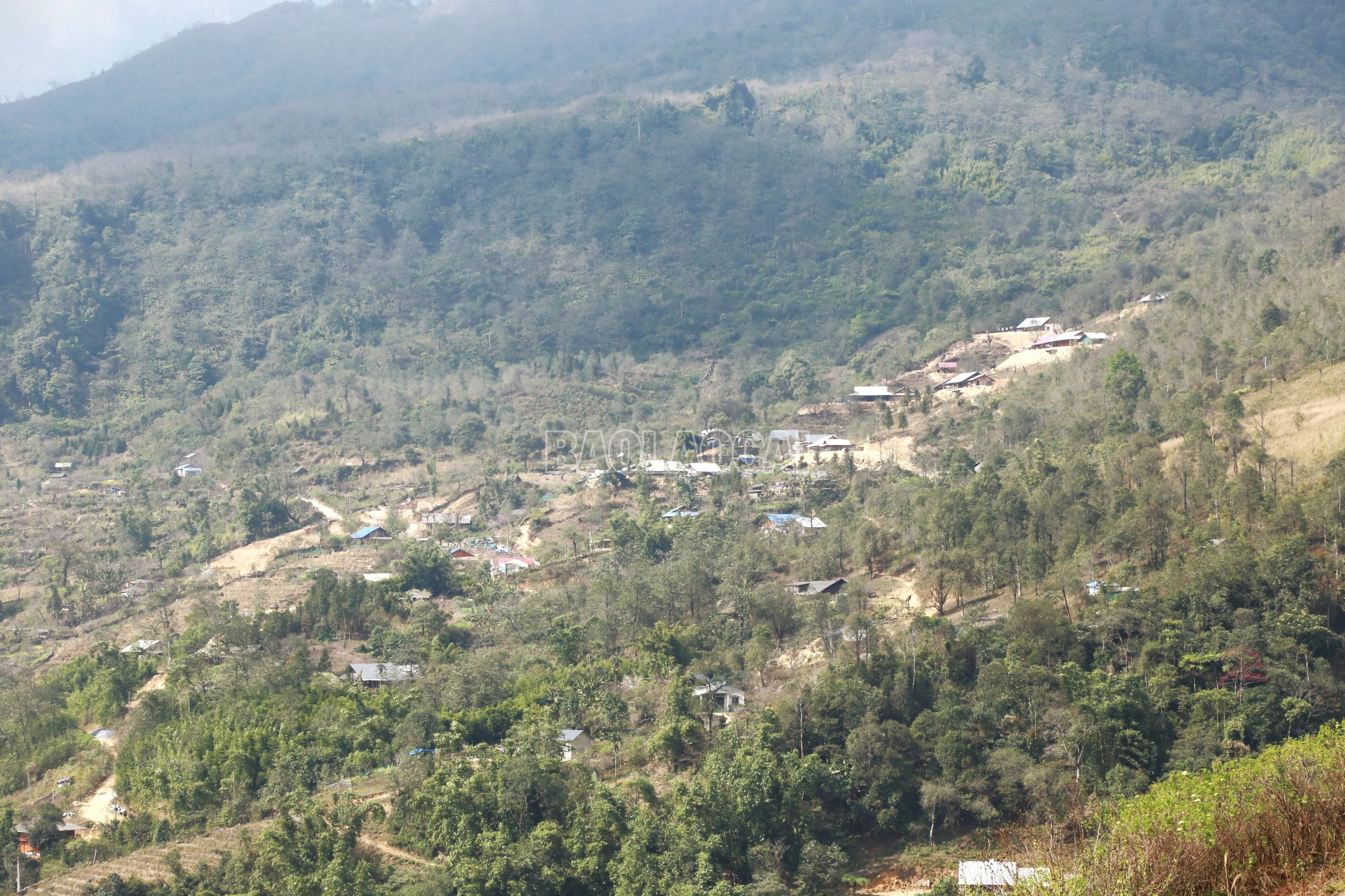 baolaocai-c_img-9480.jpg