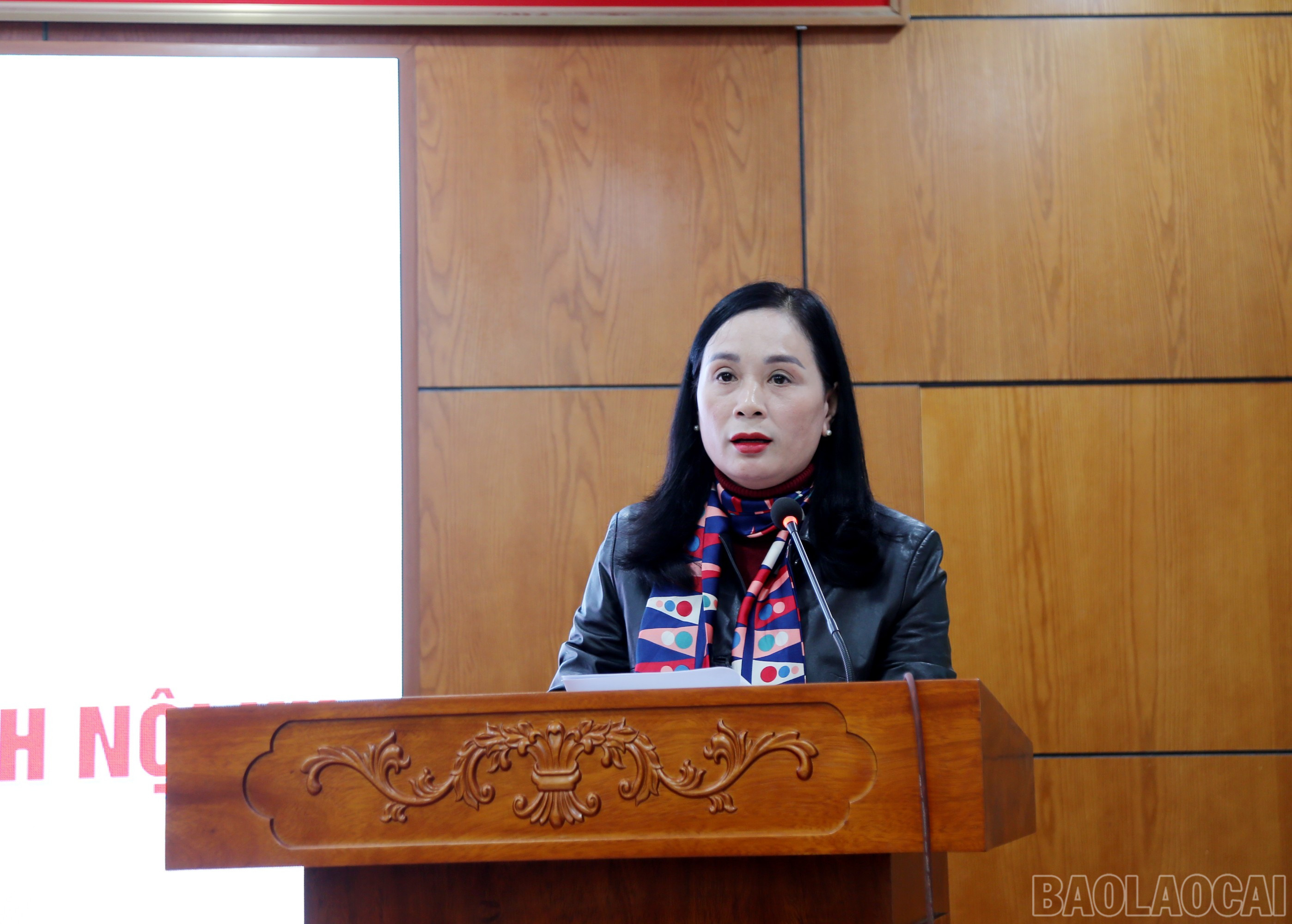 baolaocai-br_6-485.jpg