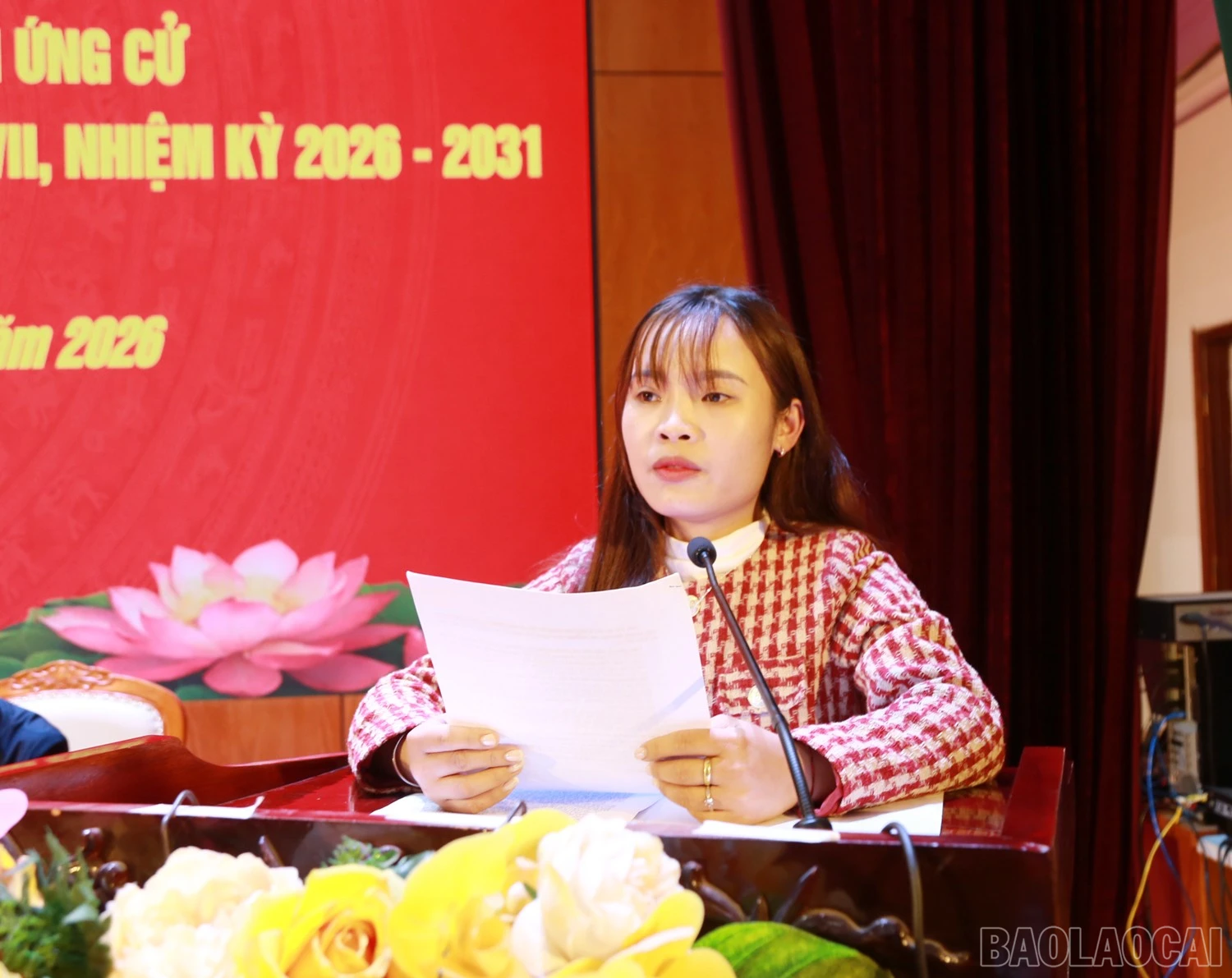 baolaocai-br_7.jpg