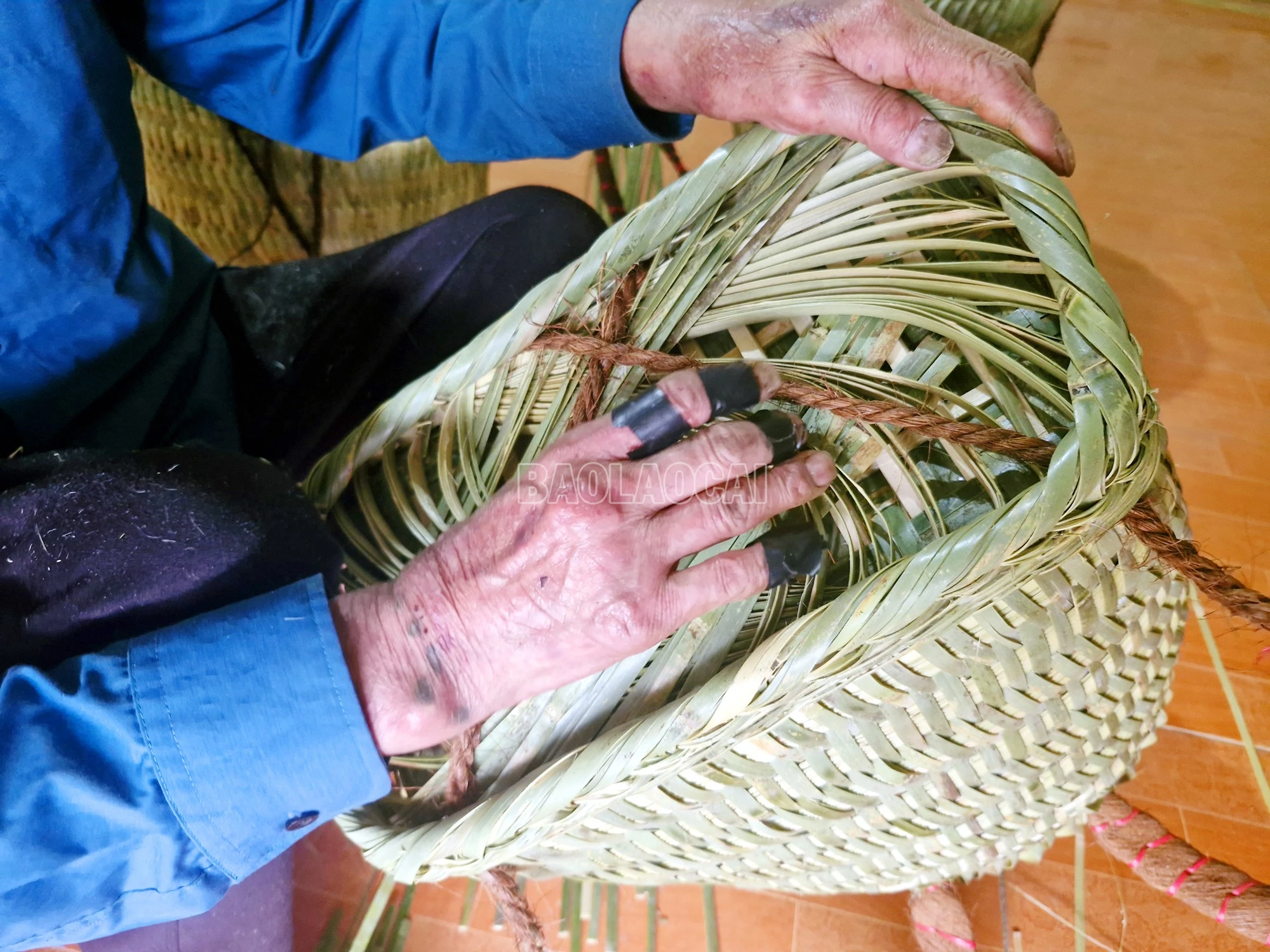 baolaocai-c_3.jpg