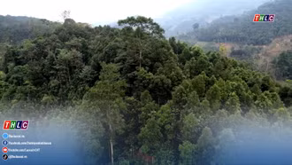 Sức sống Khánh Hòa