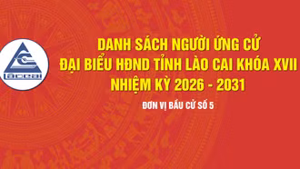 [Infographic] Tiểu sử tóm tắt những người ứng cử đại biểu HĐND tỉnh Lào Cai khóa XVII, nhiệm kỳ 2026 - 2031 (Đơn vị bầu cử số 5)