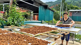 Bức tranh kinh tế ở Cốc Lầu 