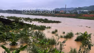 Đỉnh lũ trên sông Hồng tại Lào Cai ở mức báo động 1, trên báo động 1 từ ngày 9/9