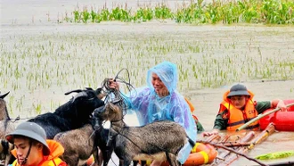 [Ảnh] Những hình ảnh đẹp của lực lượng chức năng giúp người dân vùng lũ