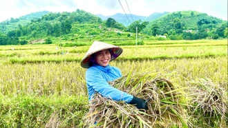 Nét đẹp của phụ nữ trong lao động