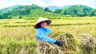 Nét đẹp của phụ nữ trong lao động